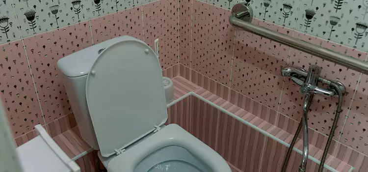 Meeting Diverse Needs With Accessible Restroom Solutions in Brushy Creek, TX